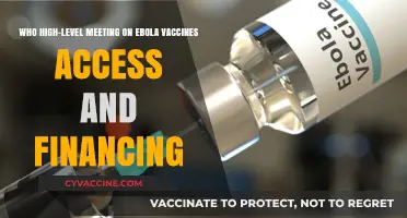 Ebola Vaccines: Global Access and Financing Strategies Discussed at High-Level Meeting
