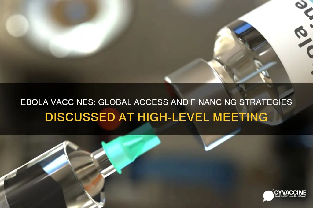 who high-level meeting on ebola vaccines access and financing