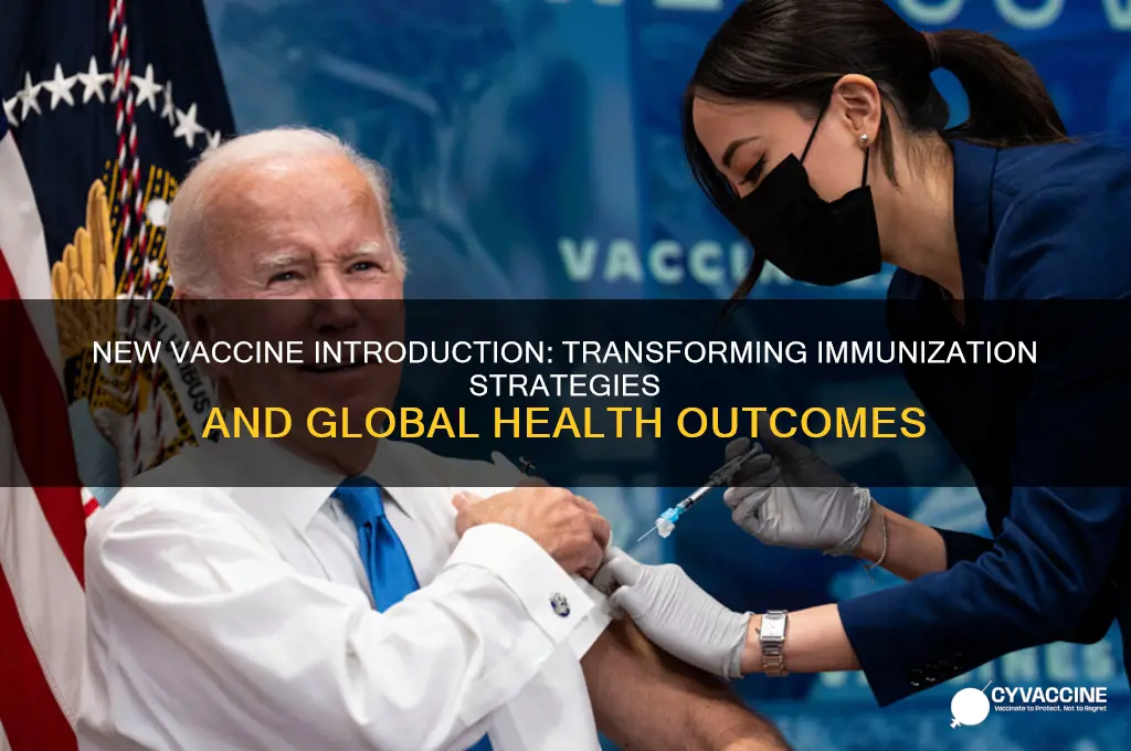 who impact of new vaccine introduction on immunization