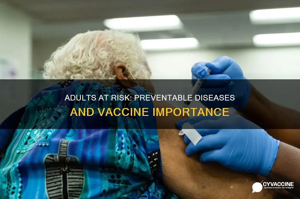 who is at risk of a vaccine preventable disease adults