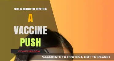 Unveiling the Forces Driving the Hepatitis A Vaccine Campaign