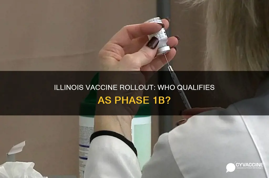 who is considered 1b for vaccine in illinois