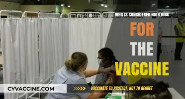 Identifying High-Risk Individuals for COVID-19 Vaccination: Key Factors Explained
