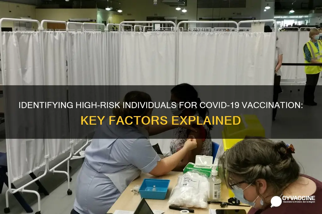 who is considered high risk for the vaccine