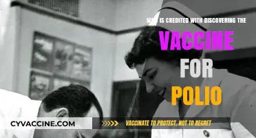 Jonas Salk: The Scientist Behind the Polio Vaccine Discovery