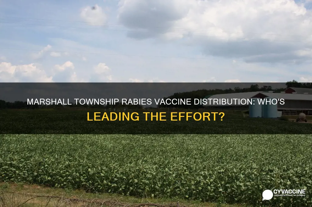who is distributing rabies vaccines in marshall township