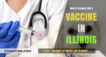 Illinois Vaccine Eligibility: Who Qualifies for COVID-19 Shots Now?
