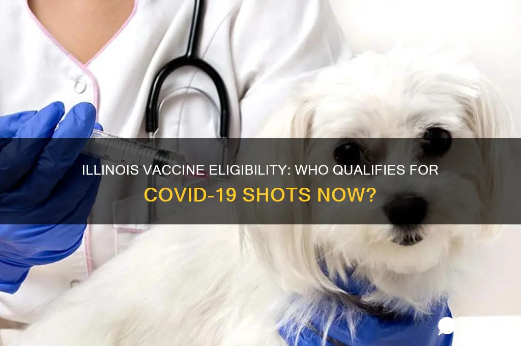 who is eligible for a vaccine in illinois
