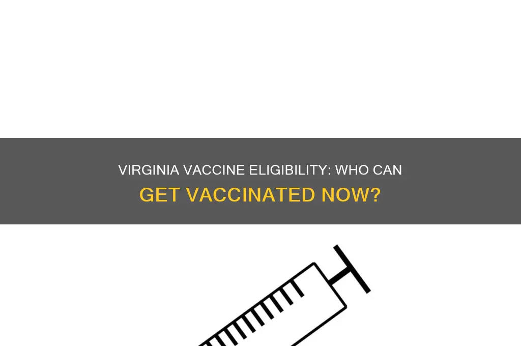 who is eligible for a vaccine in virginia