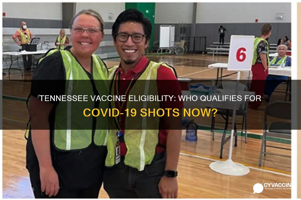 who is eligible for the vaccine in tennessee
