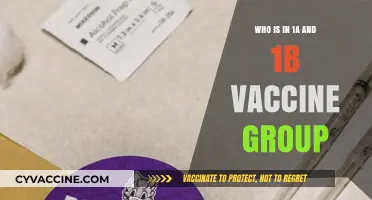 Understanding Vaccine Priority: Who's Included in Groups 1A and 1B?