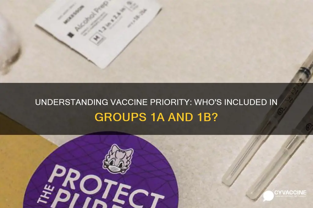 who is in 1a and 1b vaccine group