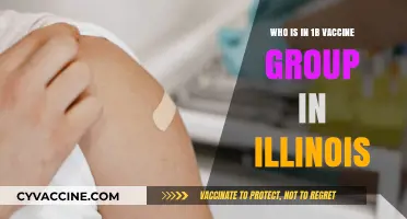 Illinois Vaccine Rollout: Who Qualifies for Phase 1B Group?