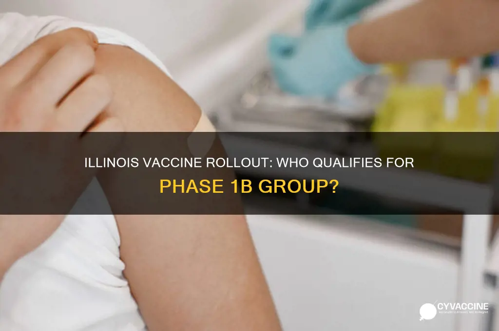 who is in 1b vaccine group in illinois
