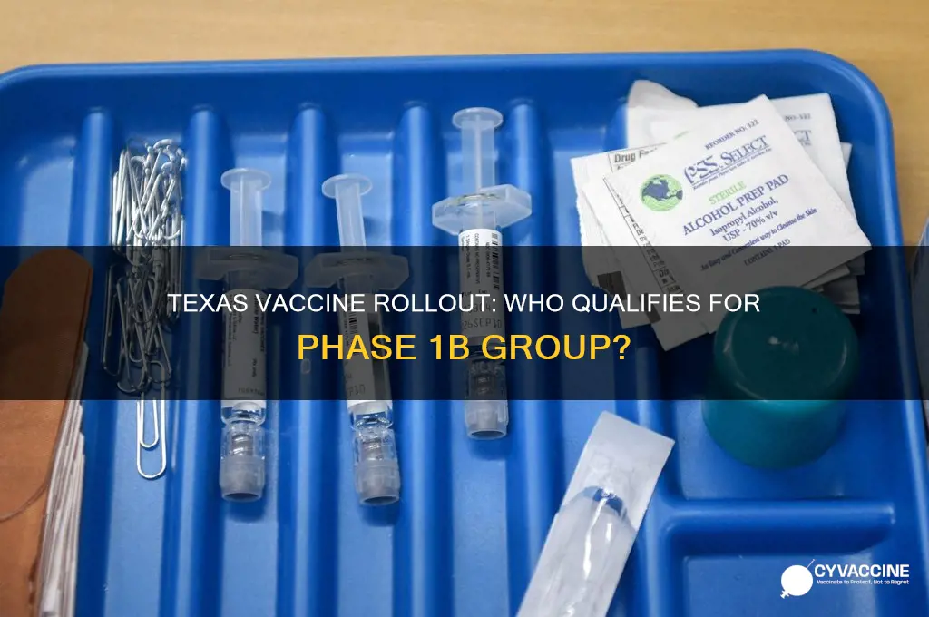 who is in 1b vaccine group in texas