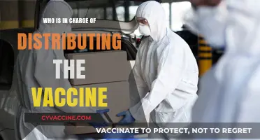 Who Oversees Global Vaccine Distribution: Key Players and Responsibilities