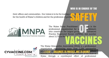 Who Ensures Vaccine Safety: Key Authorities and Their Roles