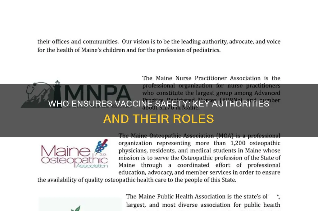 who is in charge of the safety of vaccines