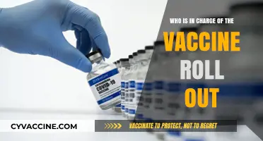 Who Oversees the COVID-19 Vaccine Rollout: Key Players and Responsibilities