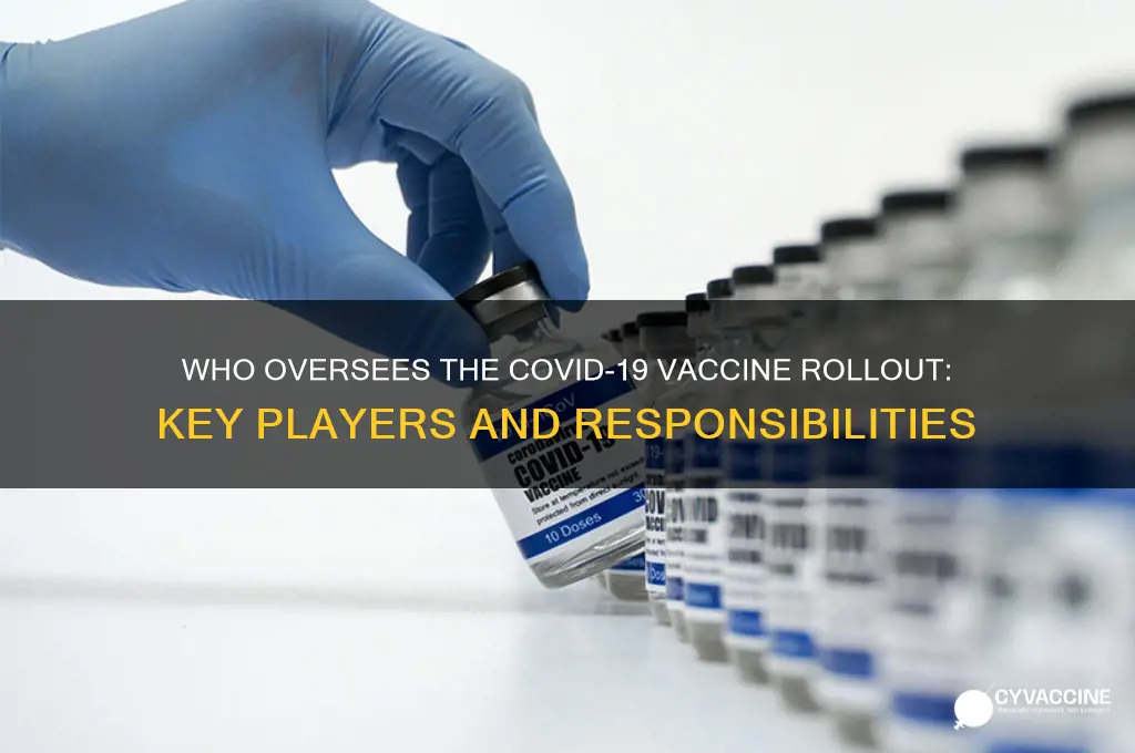 who is in charge of the vaccine roll out