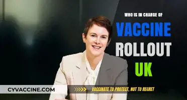 UK Vaccine Rollout Leadership: Who's Steering the National Immunisation Effort?