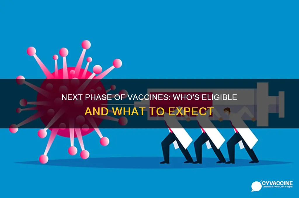 who is in the next phase of vaccines