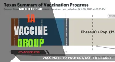 Understanding Phase 1A: Who Gets the COVID-19 Vaccine First?