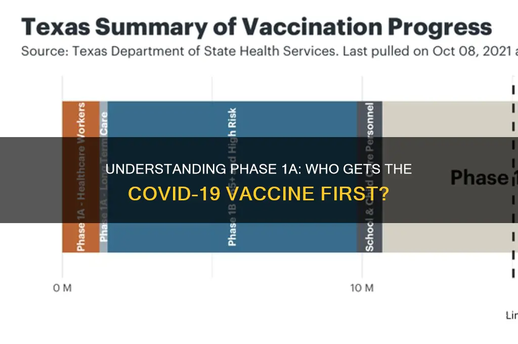 who is in the phase 1a vaccine group
