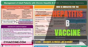 Who Needs the Hepatitis B Vaccine? Key Indications Explained