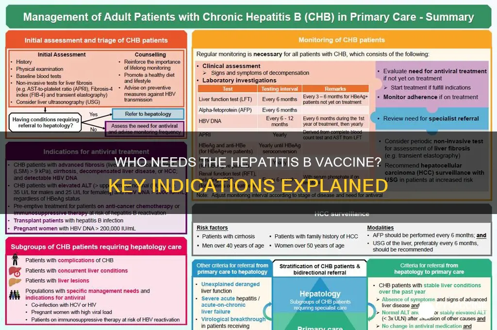 who is indicated for the hepatitis b vaccine