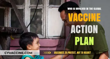 Global Vaccine Action Plan: Key Players and Their Roles