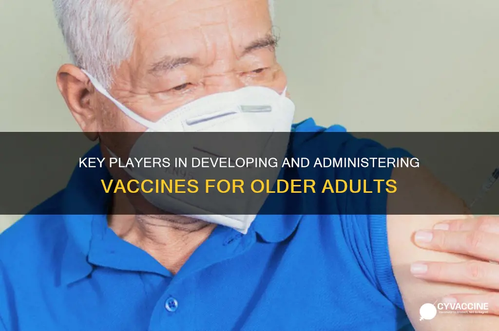 who is involved with vaccines for older adults