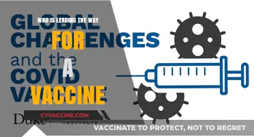 Global Vaccine Race: Who's Leading the Charge for a Cure?