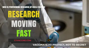 Ebola Vaccine Research: Who's Leading the Rapid Scientific Breakthroughs?