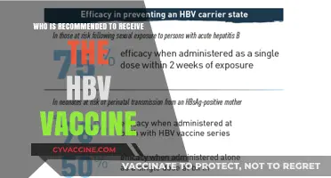 Who Should Get the HBV Vaccine: Essential Recommendations and Guidelines