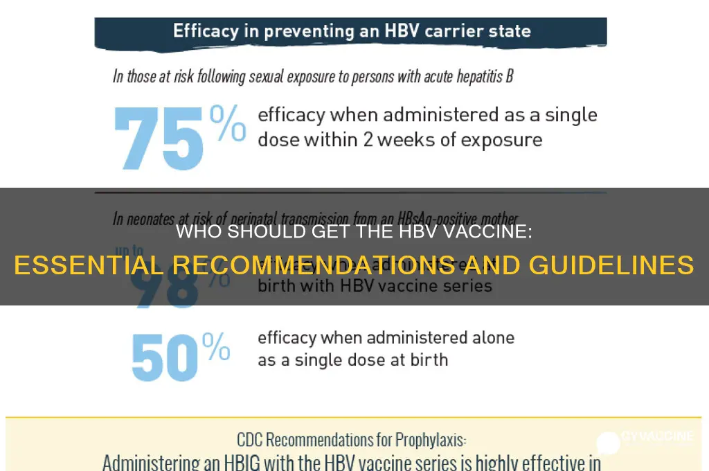 who is recommended to receive the hbv vaccine
