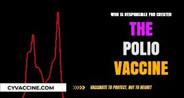 Jonas Salk and the Team Behind the Polio Vaccine Breakthrough