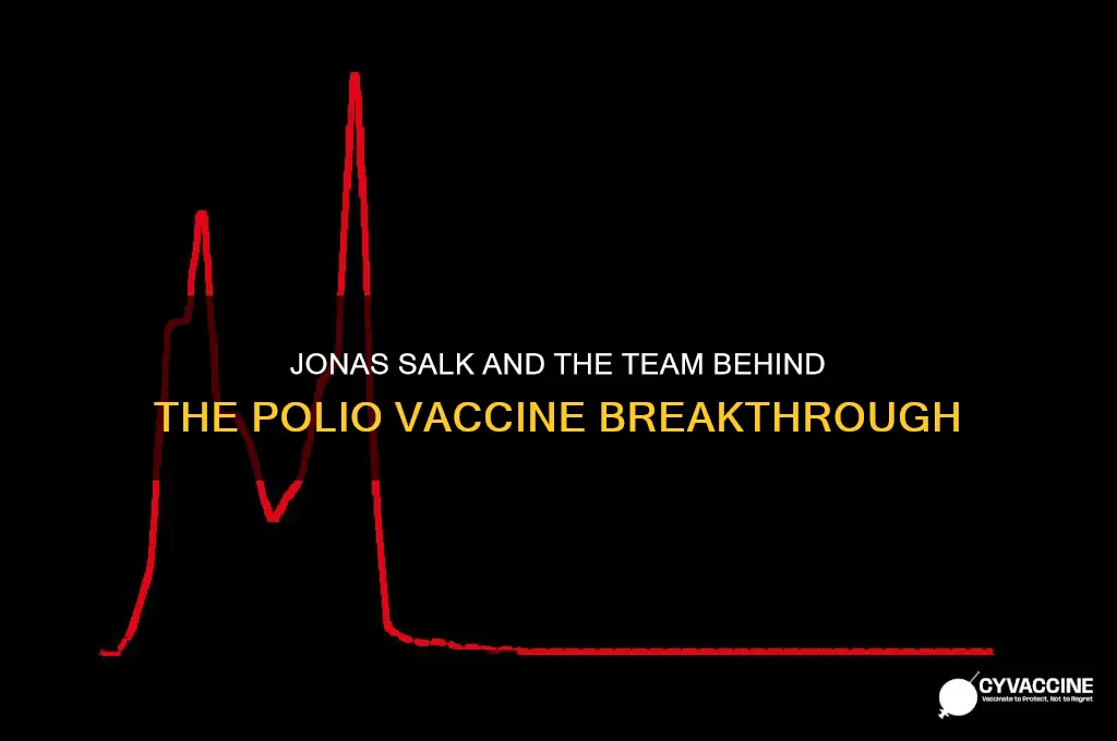 who is responsible for created the polio vaccine