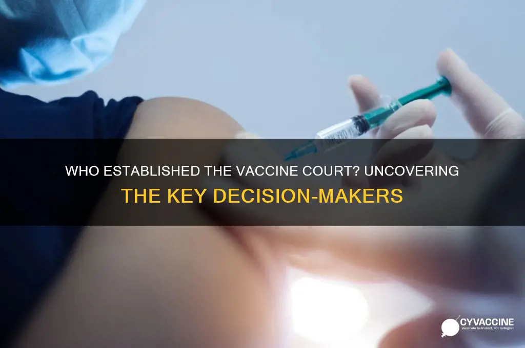 who is responsible for setting up the vaccine court