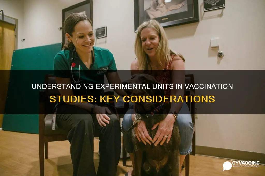who is the experimental unit in vaccination studies