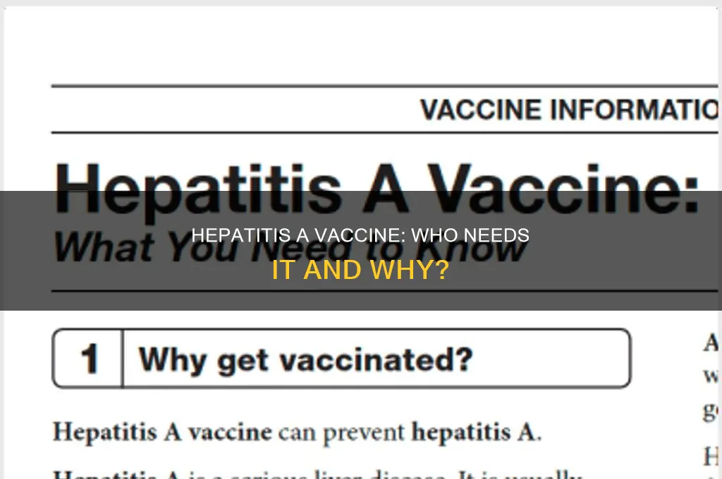 who is the hepatitis a vaccine intended for