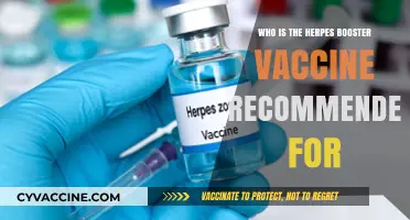 Who Should Get the Herpes Booster Vaccine? Key Recommendations