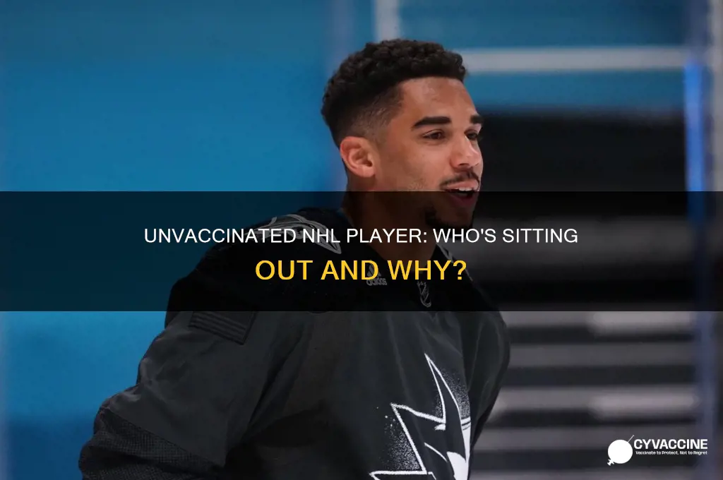 who is the one nhl player not vaccinated