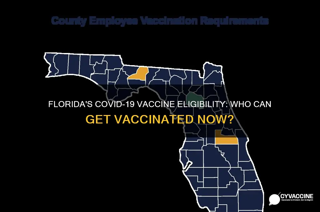 who is the vaccine available to in florida