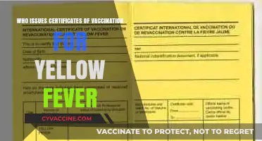 Who Issues Yellow Fever Vaccination Certificates? A Comprehensive Guide