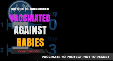 Who Needs Rabies Vaccination: Essential Guidelines for At-Risk Individuals
