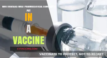 Who Regulates Vaccine Ingredients: A Look at Pharmaceutical Oversight