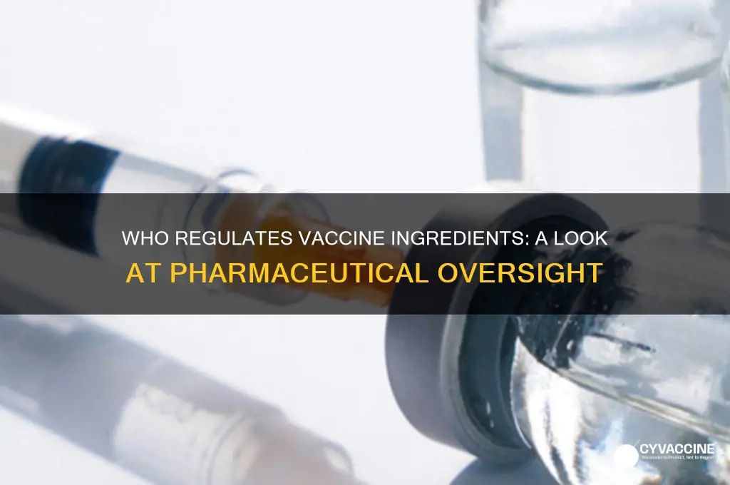 who overseas what pharmaceutical companies put in a vaccine
