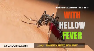 Who Covers Yellow Fever Vaccination Costs for Patients: A Guide