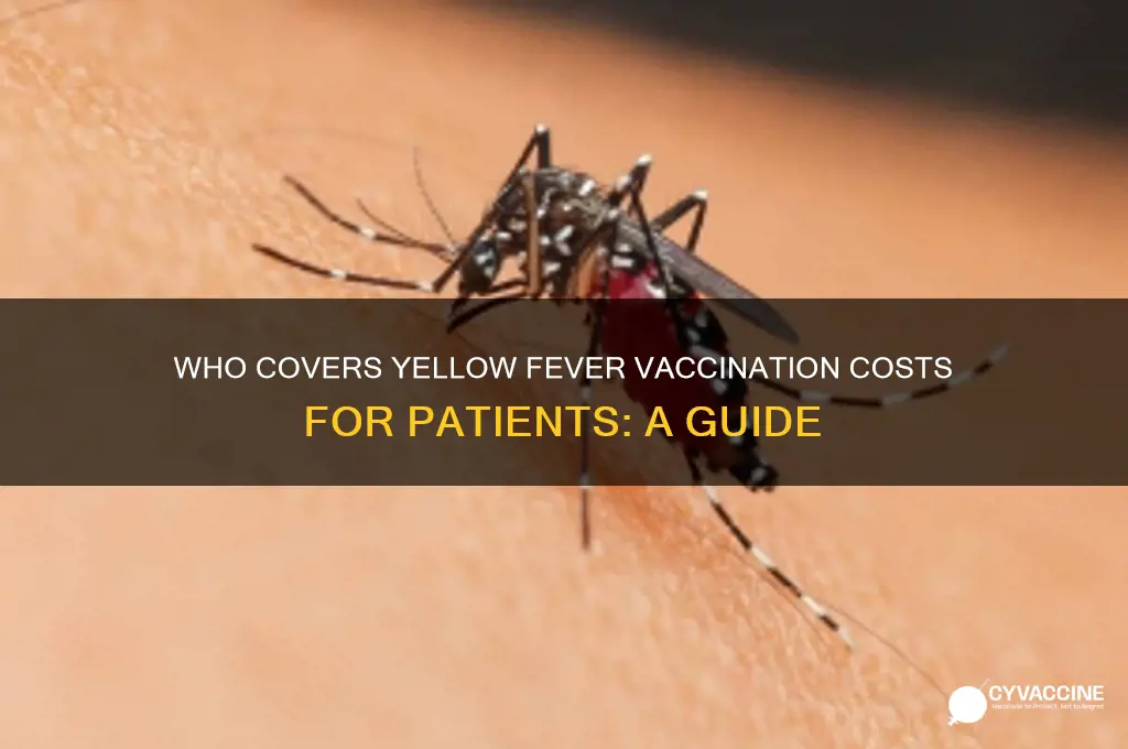 who pays vaccination to patients with hellow fever